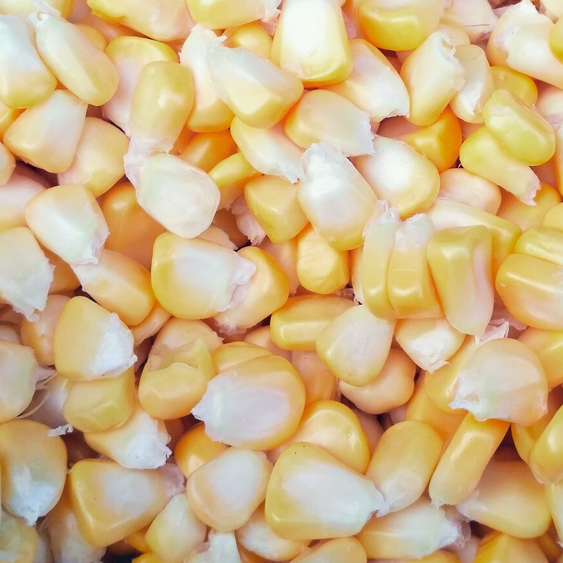 Sweet Corn (Indian Bhutta)