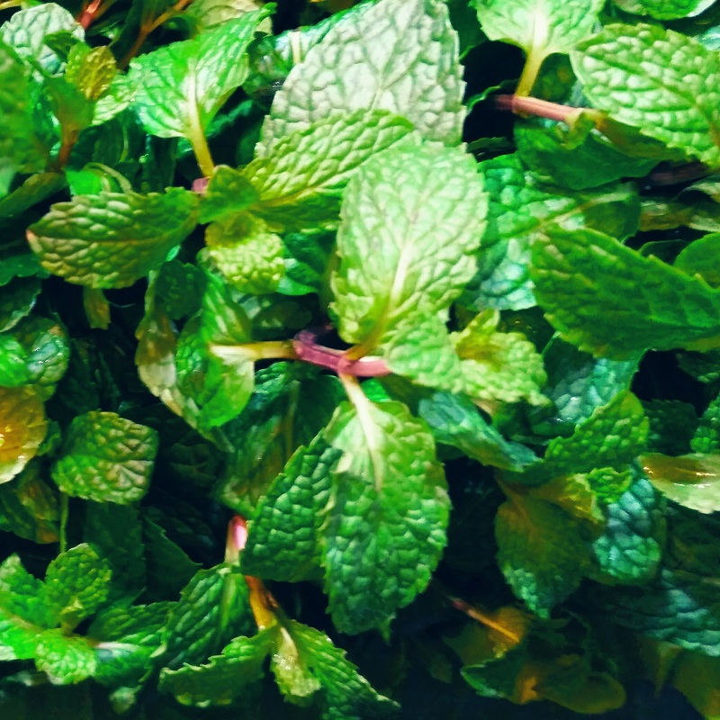 Mint Leaf / Pudina Saak