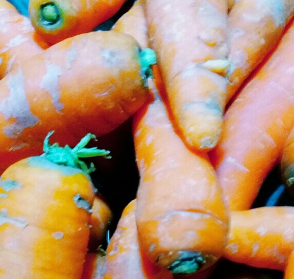 Carrot -Local