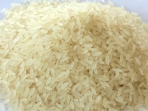 Rice N Shankar -Polished