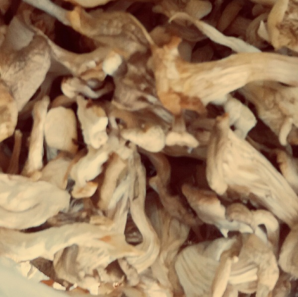 Dry Mushroom -Oyster