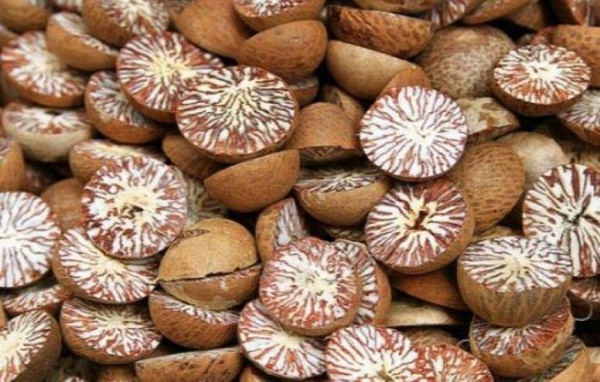 Areca Nut / Betel Nut / Supari